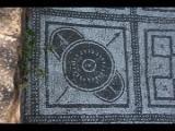 01119 ostia - regio ii - terme delle province - mosaik - ostseite - detail - 1. reihe - pos 1 - 2017.jpg